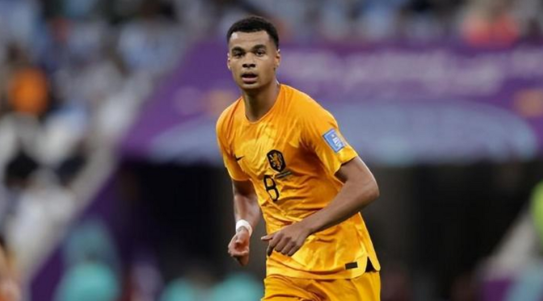 转会期突围战来临;塞维利亚围绕荷甲内部沟通;话题不断;训练强度明显提升的简单介绍 转会期突围战来临;塞维利亚围绕荷甲内部沟通;话题不断;训练强度明显提升的简单介绍